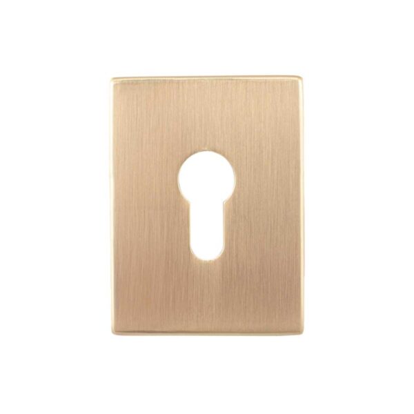 3ef2fab396-1_resize_1200x1200.jpeg Декоративна накладка Protect під циліндр 60X80mm SG мат золото