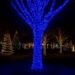 cf1000l100mbbl1.jpg Гірлянда Різдвяна фея вулична 100 (м) 1000 LED чорний провід Синій CF1000L100MBBL
