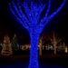 cf1000l100mwbl1.jpg Гірлянда Різдвяна фея вулична 100 м 1000 LED білий провід Синій CF1000L100MWBL