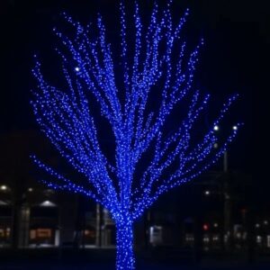 cf300l30mbbl1.jpg Гірлянда Нитка вулична 30 (м) 300 LED чорний провід Синій CF300L30MBBL