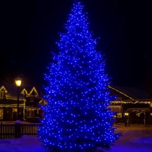 cf500l50mbbl1.jpg Гірлянда Різдвяна фея вулична 50 (м) 500 LED чорний провід Синій CF500L50MBBL