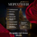 elektricheskaya_girlyanda_zvezda_shtora_3_metra_na_okno_dlya_fotozon_multikolor_4.png Електрична гірлянда Зірка штора 3*0,9 м 12 на вікно для фотозон мультиколор WYF11ML