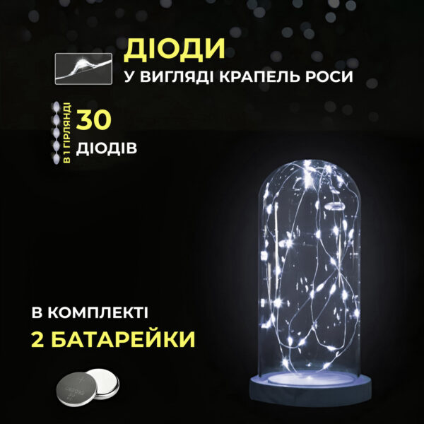 svetodiodnaya_girlyanda_rosa_3_metra_na_batareykah_30_led_nit_na_belom_provode_belaya_3.jpg Світлодіодна гірлянда Роса 3 метри на батарейках 30 led нитка на білому дроті біла 30L3MWW
