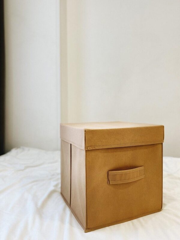 Короб для зберігання з кришкою 30x30x30 см ORGANIZE (бежевий)