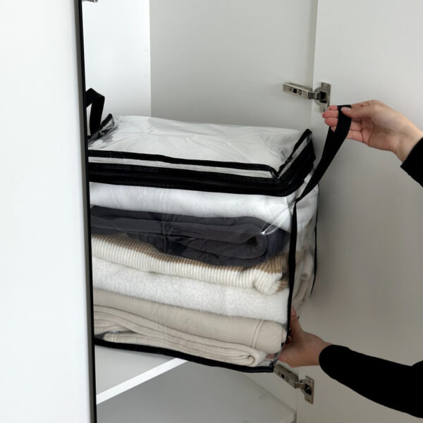 Прозора прямокутна сумка для речей з ручками L 43x29x37 см ORGANIZE (чорна)