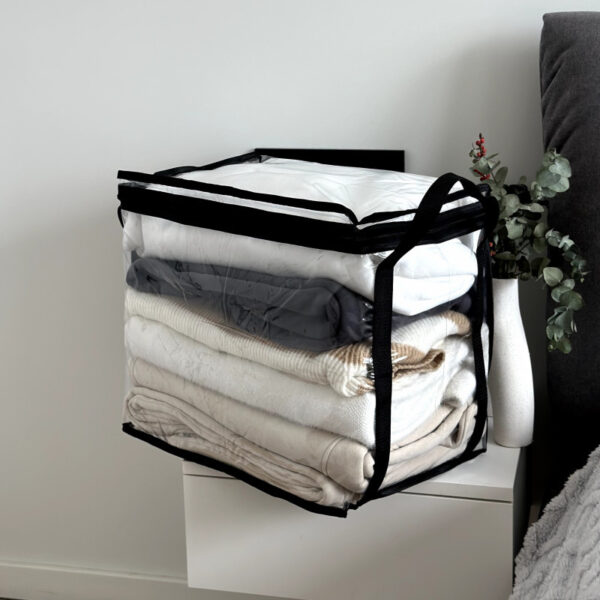 Прозора прямокутна сумка для речей з ручками L 43x29x37 см ORGANIZE (чорна)