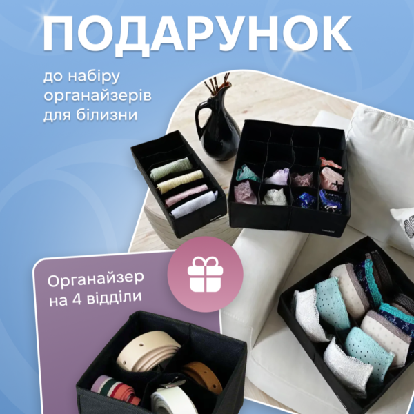 7026743251_nabor-organajzerov-organize.png Набір органайзерів для білизни 3 шт. ORGANIZE (чорний)