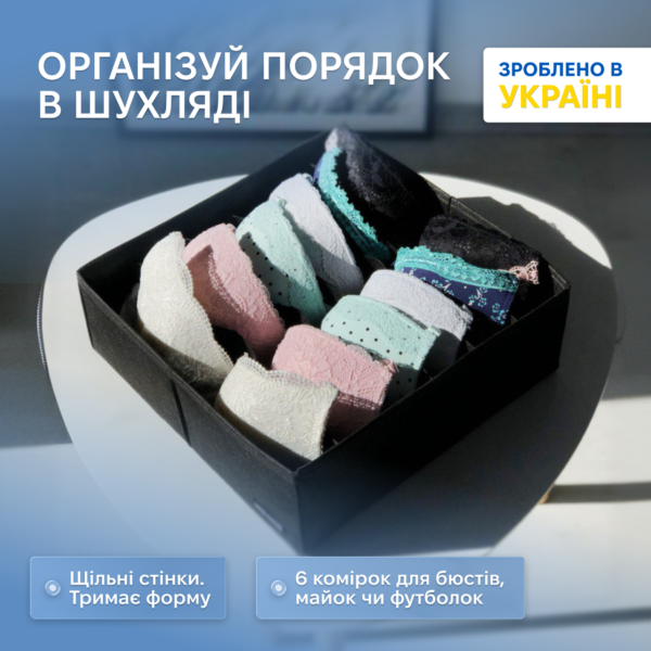 Коробочка для бюстгальтерів 30х30х10 см ORGANIZE (чорний)