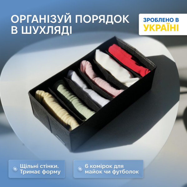 Коробочка для шкарпеток / колготок 30х15х10 см ORGANIZE (чорний)