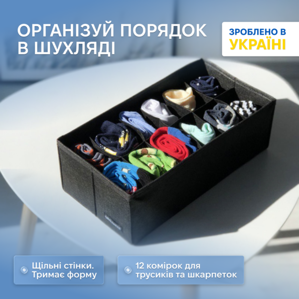 Коробочка з квадратними комірками 30х15х10 см ORGANIZE (чорний)