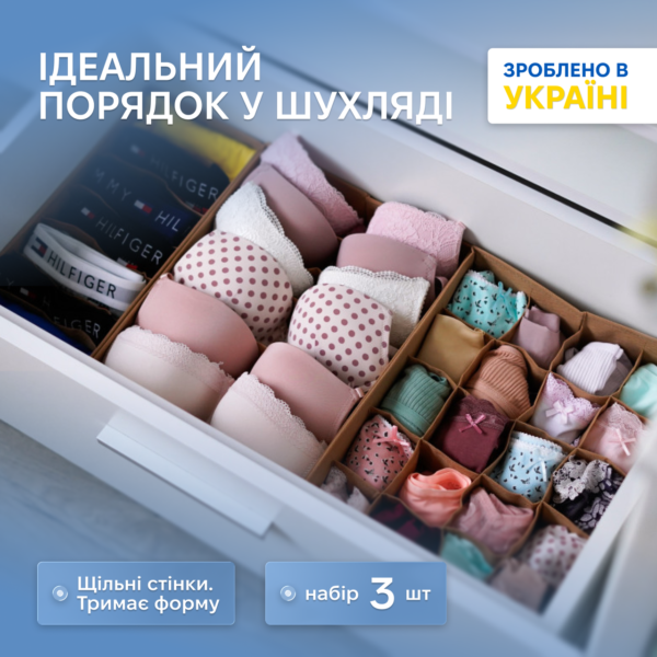 7391550684_nabor-organajzerov-dlya.png Набір органайзерів для нижньої білизни 3 шт. ORGANIZE (бежевий)