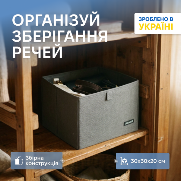 7391595547_yaschik-organajzer-organize-dlya.png Ящик-органайзер для зберігання речей L ORGANIZE (сірий)