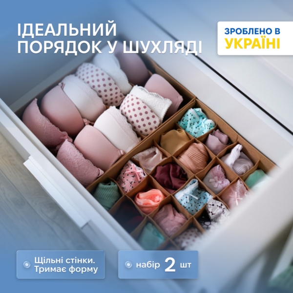 7419389462_nabor-organajzerov-dlya.png Набір органайзерів для нижньої білизни 2 шт. ORGANIZE (бежевий)