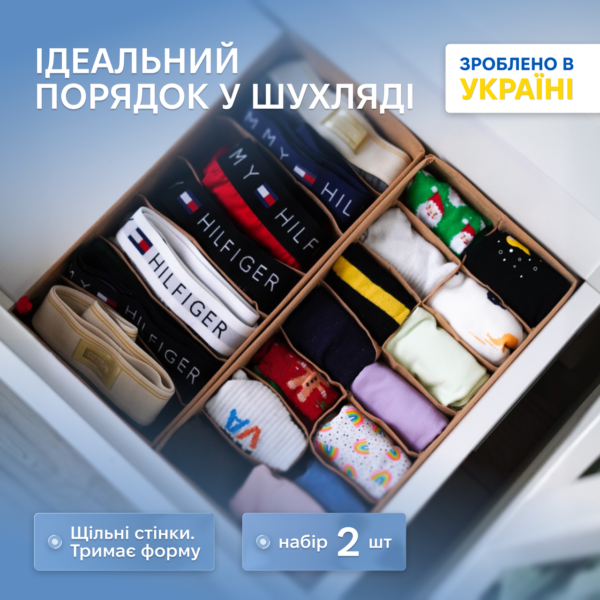 7419402089_nabor-organajzerov-dlya.png Набір органайзерів для колготок, шкарпеток і ременів ORGANIZE (бежевий)