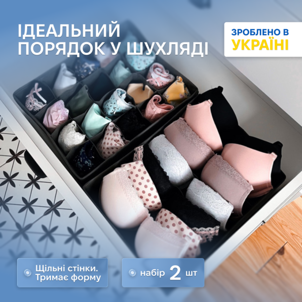 7419781507_nabor-organajzerov-dlya.png Набір органайзерів для трусів і бюстгальтерів 2 шт. ORGANIZE (сірий)