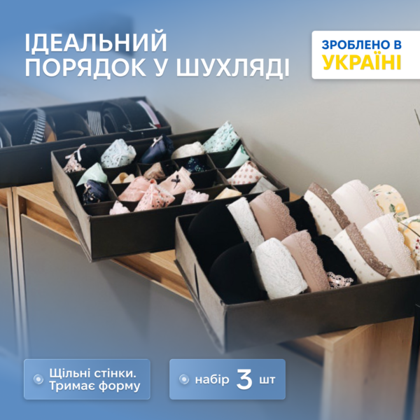 7419786793_komplekt-organajzerov-dlya.png Комплект органайзерів для нижньої білизни 3 шт. ORGANIZE (сірий)