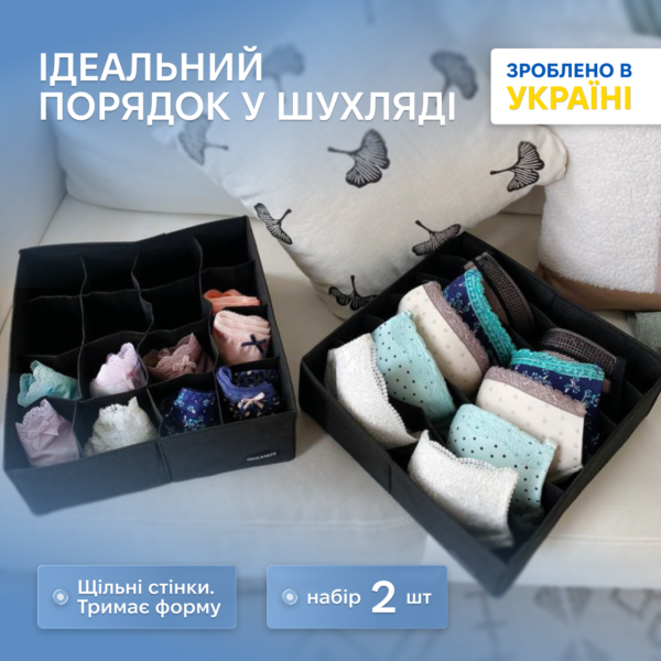 7419835240_nabor-organajzerov-dlya.png Набір органайзерів для нижньої білизни 2 шт. ORGANIZE (чорний)
