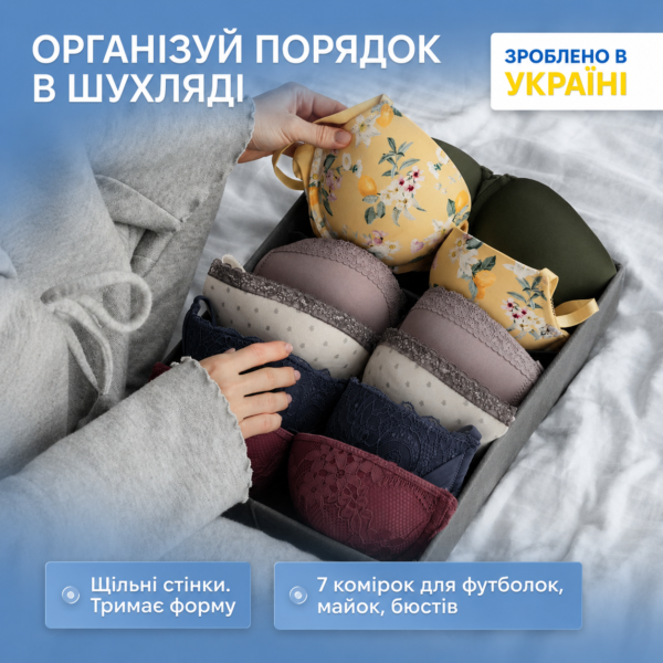 Органайзер для бюстгальтерів 35х28х8 см ORGANIZE (сірий)
