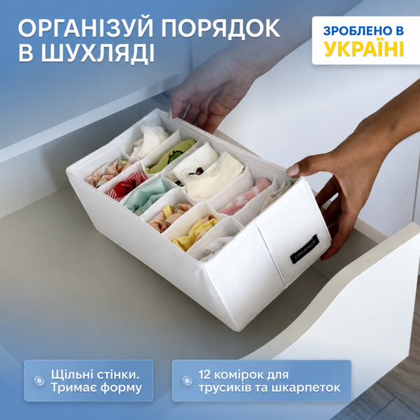 7425006109_organajzer-s-kvadratnymi.png Органайзер з квадратними комірками 30х15х10 см ORGANIZE (білий)