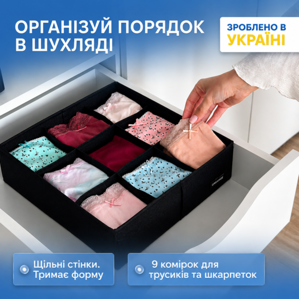 Органайзер на 9 комірок 30х30х10 см ORGANIZE (чорний)