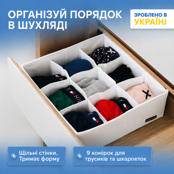 7425281156_organajzer-na-9.png Органайзер на 9 комірок 30х30х10 см ORGANIZE (білий)